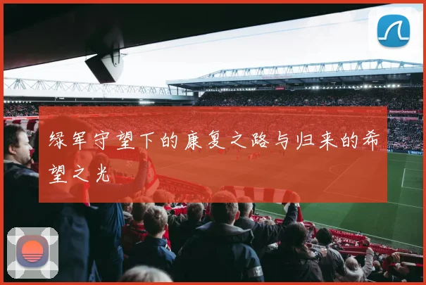 绿军守望下的康复之路与归来的希望之光