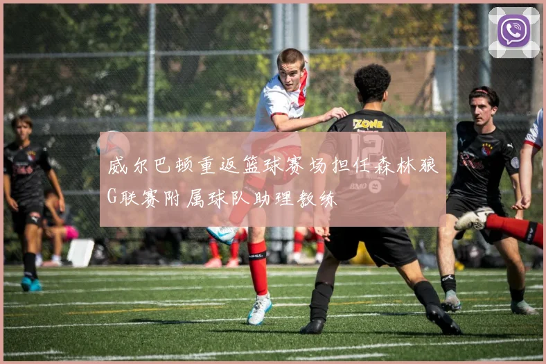 威尔巴顿重返篮球赛场担任森林狼G联赛附属球队助理教练
