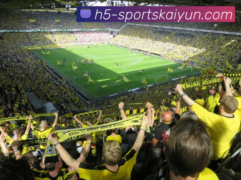 开云体育服务体系